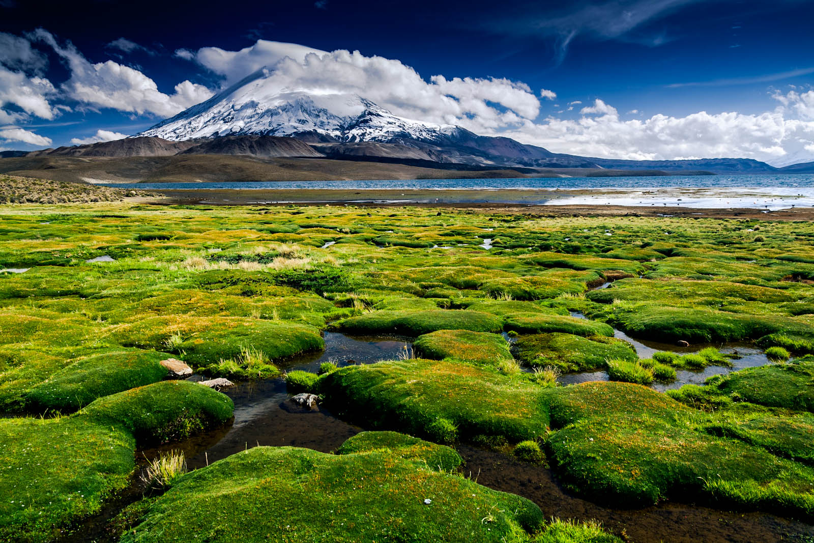 Lake Chungara